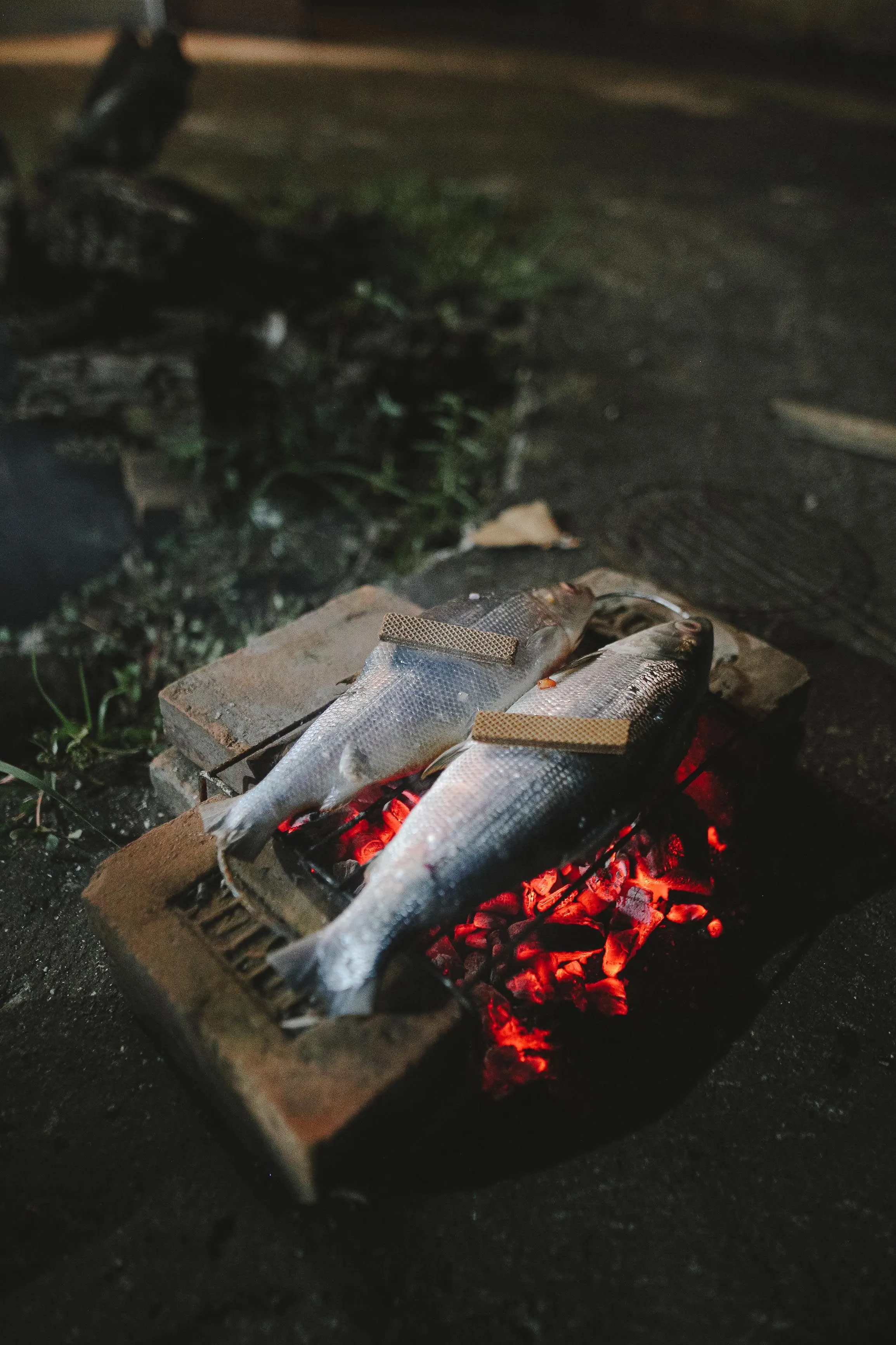 Dos pescados enteros asándose sobre las brasas al aire libre