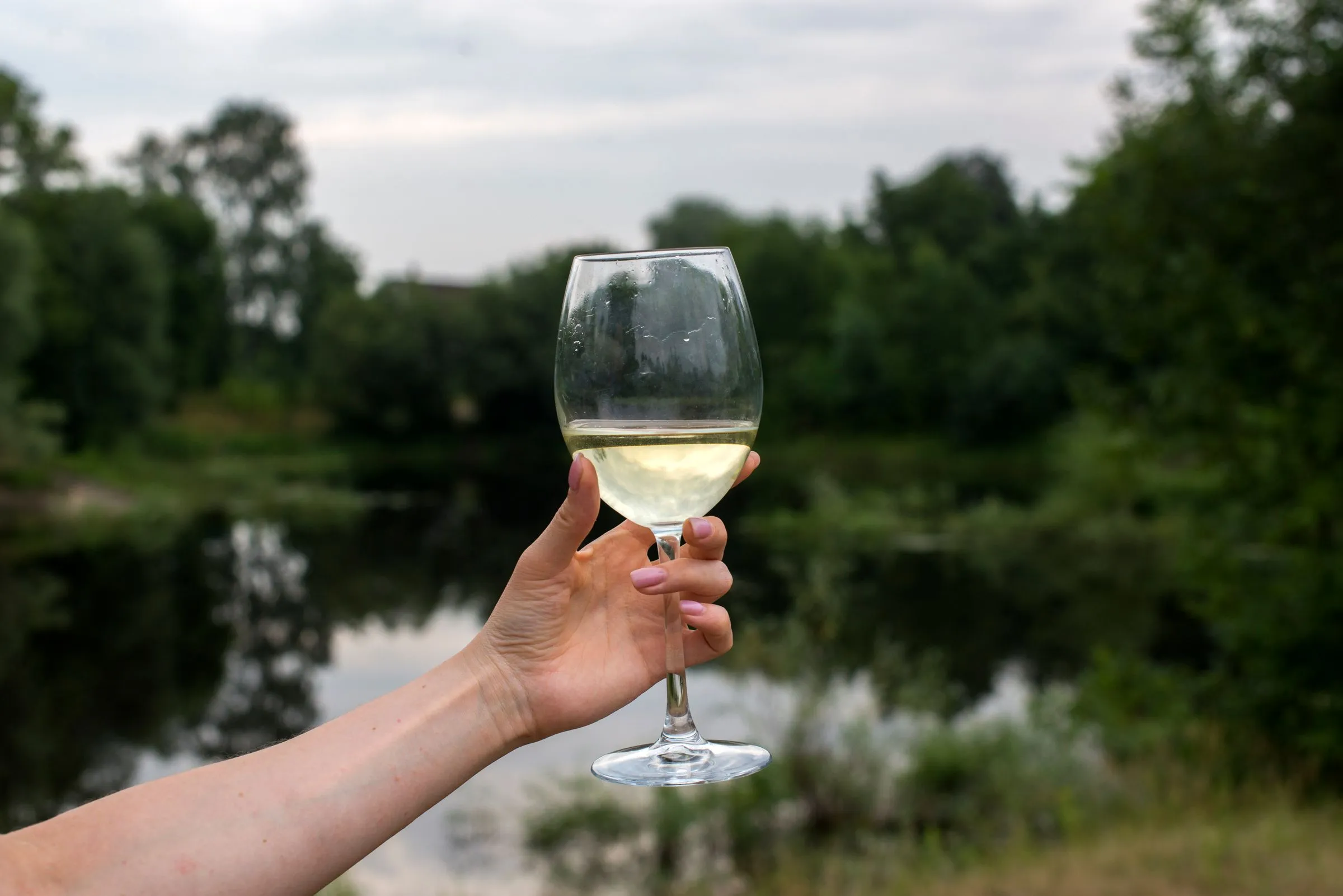 Copa de txakoli en alto con la ría de Urdaibai de fondo
